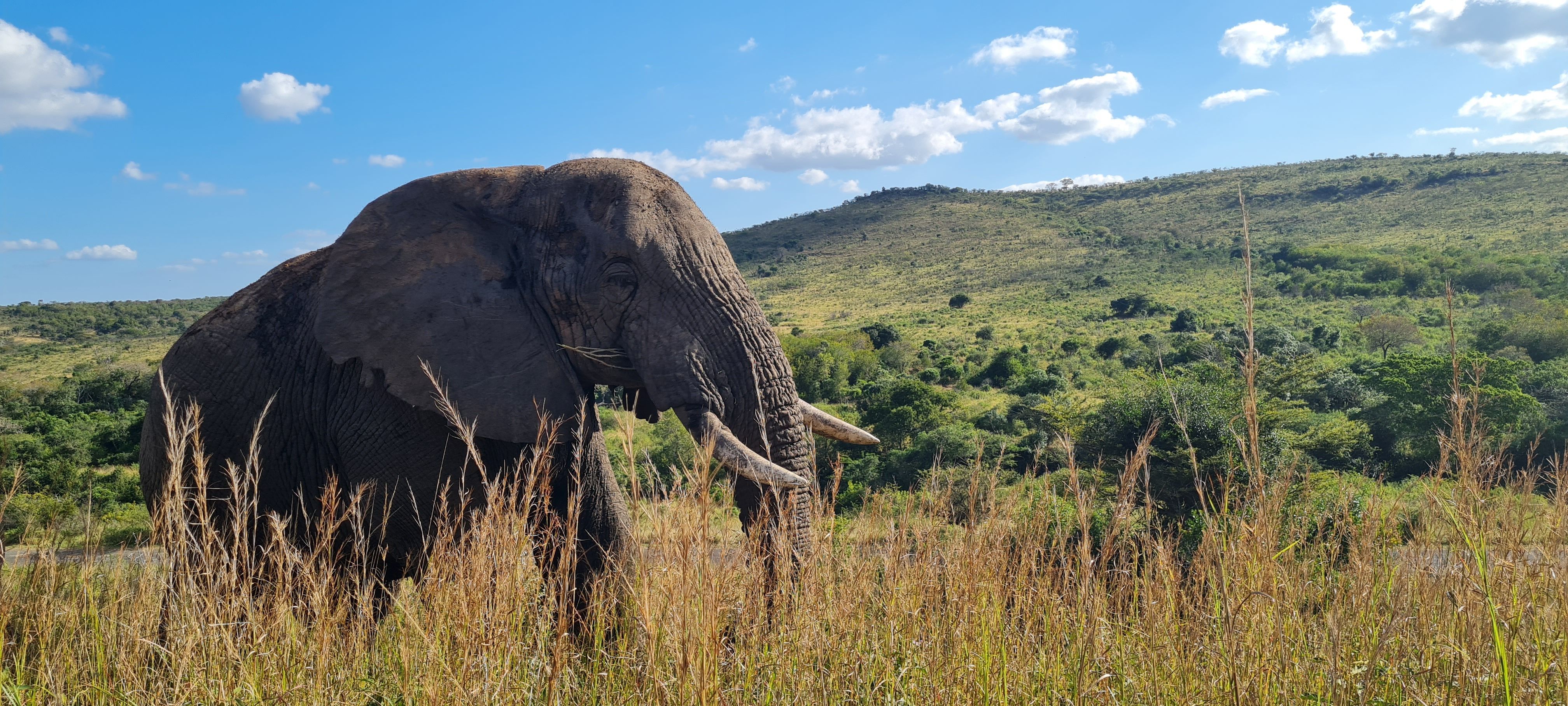 Contact Mtuba St Lucia Tourism